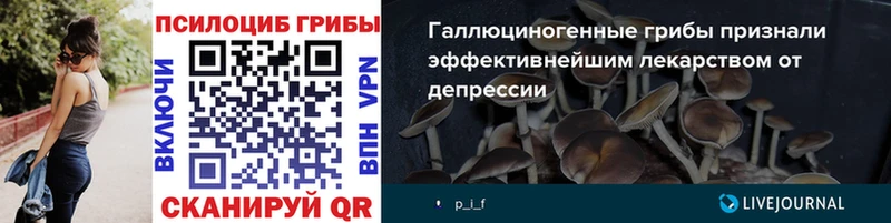 Галлюциногенные грибы Magic Shrooms Мещовск